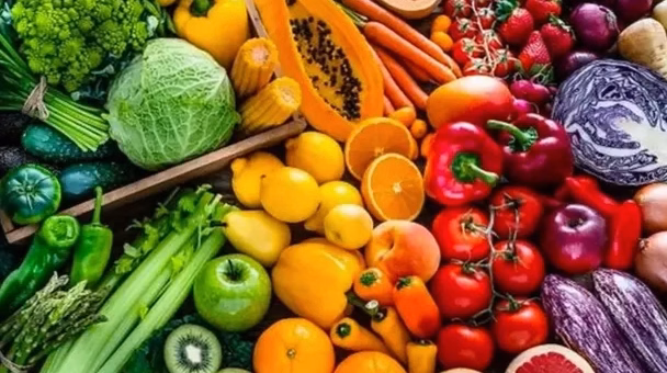 Quel régime alimentaire choisir pour la santé en 2026 ?