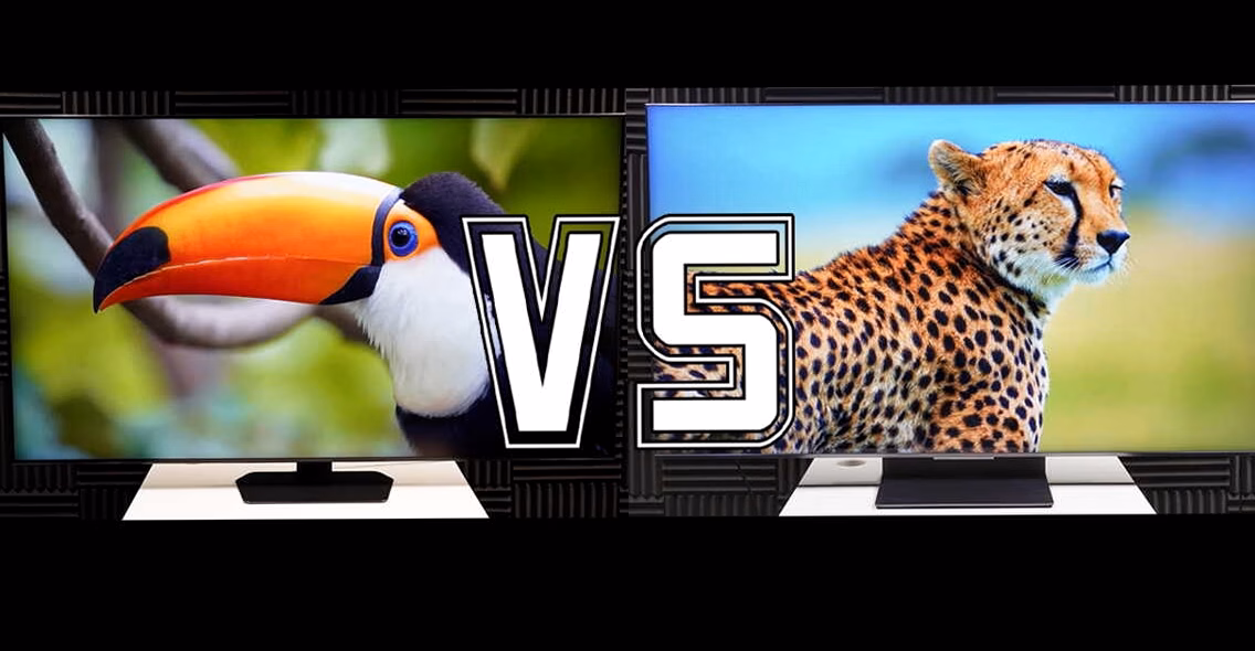Télévision vs presse en ligne : lequel choisir ?